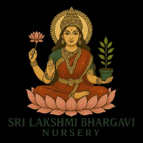 Bhargavi Nursery